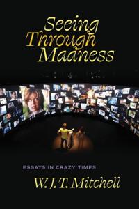 Seeing Through Madness