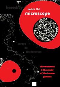 Heredity under the Microscope