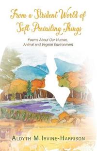 From a Strident World of Soft Prevailing Things