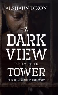 Bokomslag för "A Dark View From The Tower"