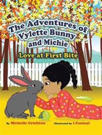 Kirjan kansi "The Adventures of Vylette Bunny and Michie"
