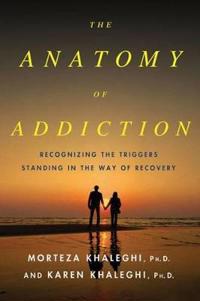 The Anatomy of Addiction