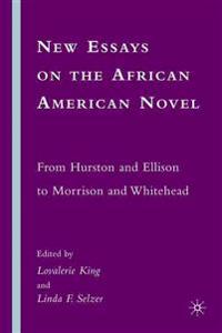 New Essays on the African American Novel