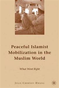 Bokomslag för "Peaceful Islamist Mobilization in the Muslim World"