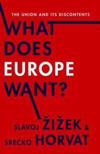 What Does Europe Want?