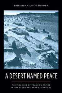 History and Society of the Modern Middle East
