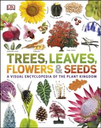 Our World in Pictures: Trees, Leaves, Flowers & Seeds