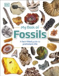 My Book of