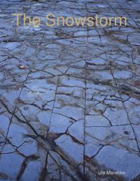 Snowstorm