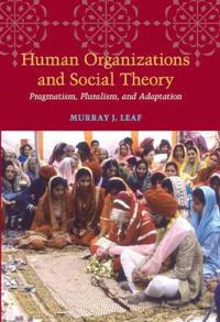 Human Organizations and Social Theory