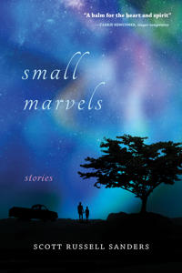 Bokomslag för "Small Marvels"