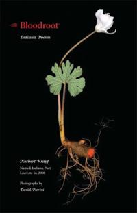 Bloodroot