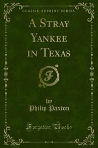 Stray Yankee in Texas