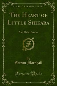 Heart of Little Shikara