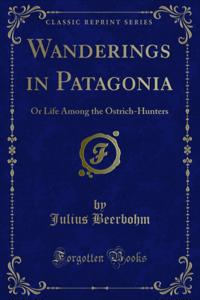 Wanderings in Patagonia