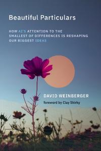 Beautiful Particulars: How Ai's Attention to the Smallest of Differences Is Reshaping Our Biggest Ideas