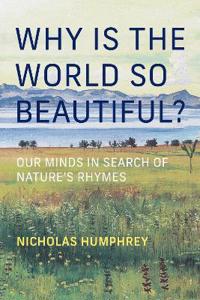 Why Is the World So Beautiful?