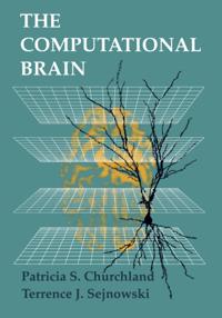 Computational Neuroscience Series