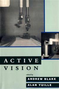 Active Vision