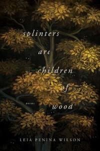 Kirjan kansi "Splinters Are Children of Wood"
