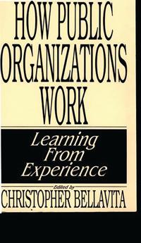 How Public Organizations Work