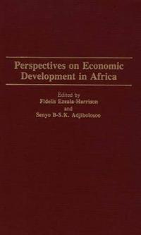 Perspectives on Economic Development in Africa
