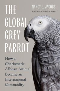 The Global Grey Parrot