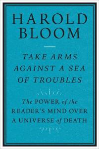 Take Arms Against a Sea of Troubles