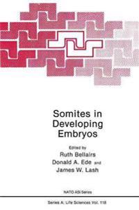 Somites in Developing Embryos