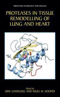 Proteases in Tissue Remodelling of Lung and Heart