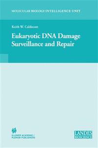 Eukaryotic DNA Damage Surveillance and Repair