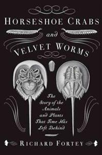 Horseshoe Crabs and Velvet Worms