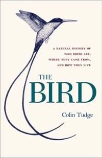 The Bird