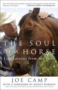 The Soul of a Horse
