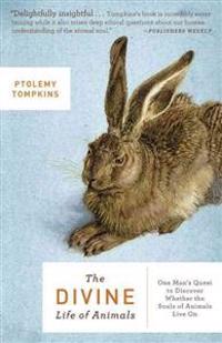 The Divine Life of Animals: One Man's Quest to Discover Whether the Souls of Animals Live on