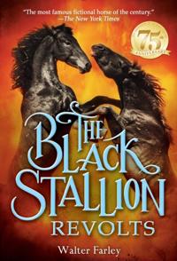 Black Stallion
