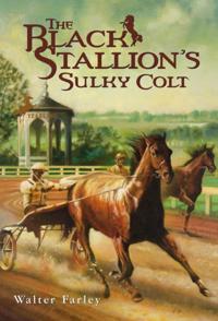 Black Stallion