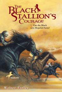 Black Stallion