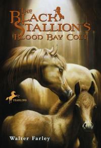Black Stallion
