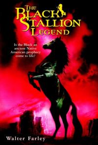 Black Stallion