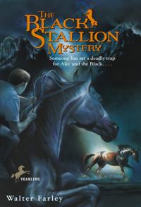 Black Stallion