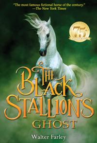 Black Stallion