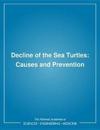 Decline of the Sea Turtles