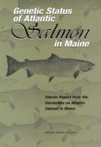 Genetic Status of Atlantic Salmon in Maine