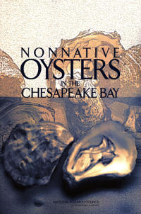 Nonnative Oysters in the Chesapeake Bay
