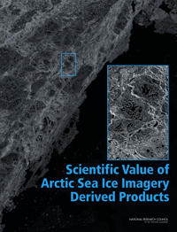 Scientific Value of Arctic Sea Ice Imagery Derived Products