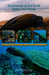 Assessment of Sea-Turtle Status and Trends