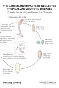 Causes and Impacts of Neglected Tropical and Zoonotic Diseases