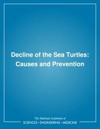 Decline of the Sea Turtles