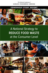 A National Strategy to Reduce Food Waste at the Consumer Level